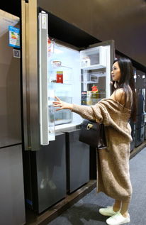 高端家电逆势增长 供需失衡下的市场突围与软件开发赋能