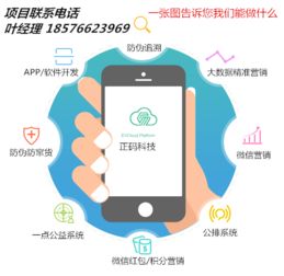 商品防窜货系统软件开发全解析 从需求到落地的技术方案